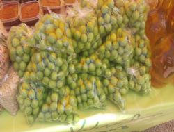 4. Gravga Erik �enli�i co�kuyla kutland�